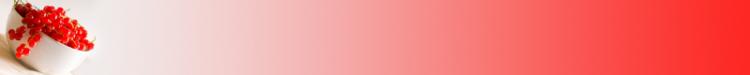 73296_seitenbanner1-jpg