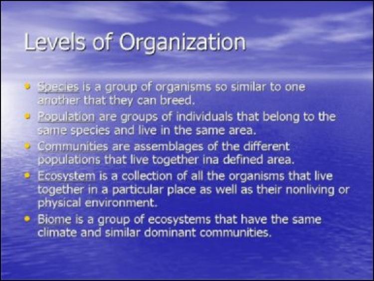 ecology_1_folie4-jpg
