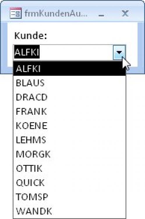 frmkundenauswahl03-jpg