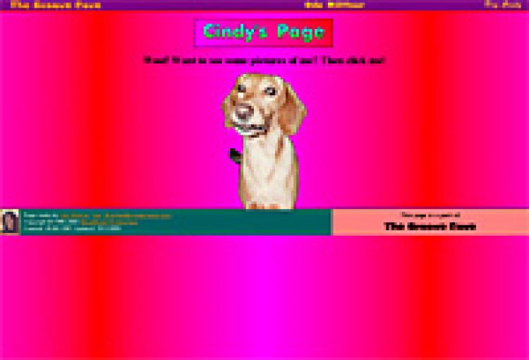 35562_hp_pink-jpg
