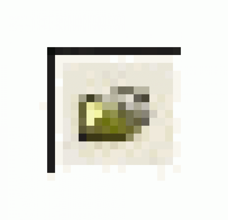 12251_imgmefi5t-gif