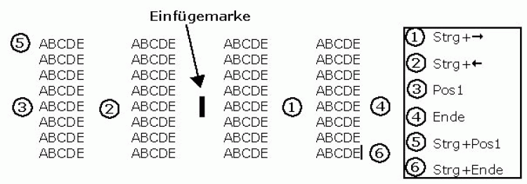 12329_17939_textpositionen-gif