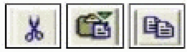 12334_img49fcsk-gif