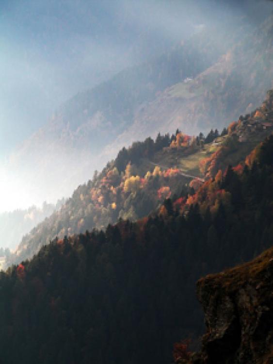 18724_18628_herbstberge.jpg