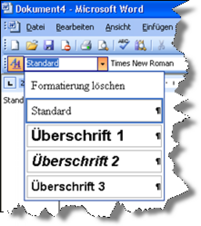 58583_formatvorlagen03.png