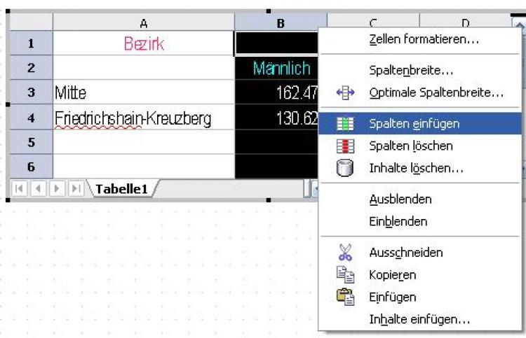 50862_bild13.jpg