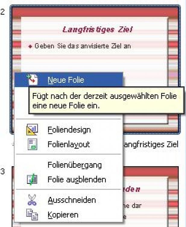 48612_bild16.jpg
