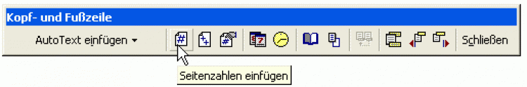 50593_seitenzahl.gif
