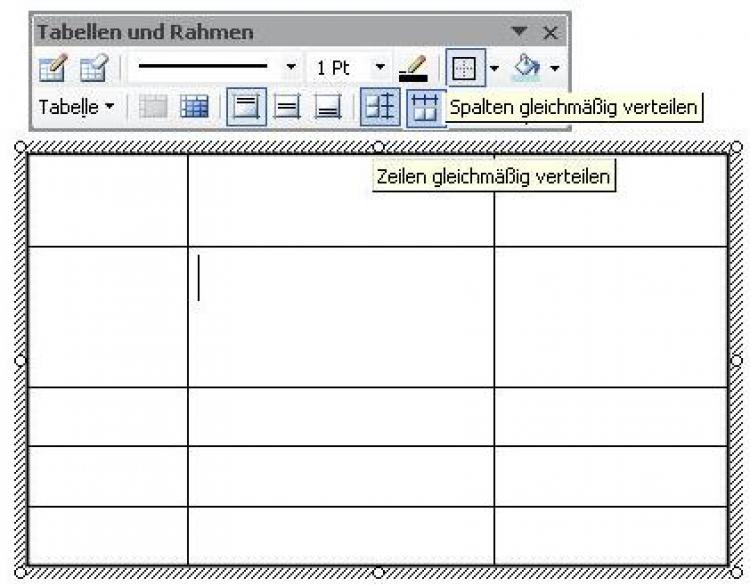 50756_bild04.jpg