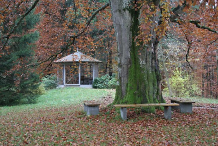 52525_bilmotiv-detailreich.jpg