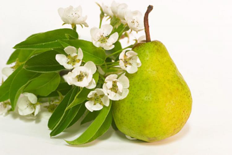 61277_foodfotografie_14.jpg