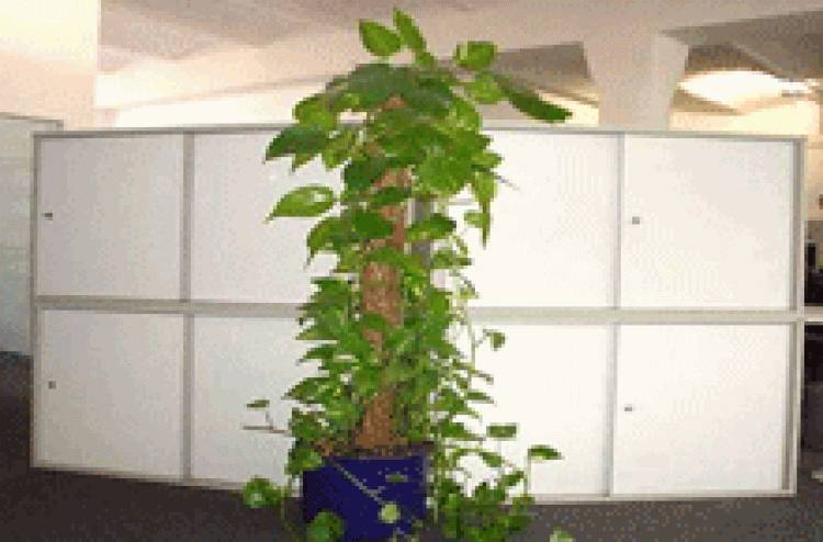 20056_trennwand.gif