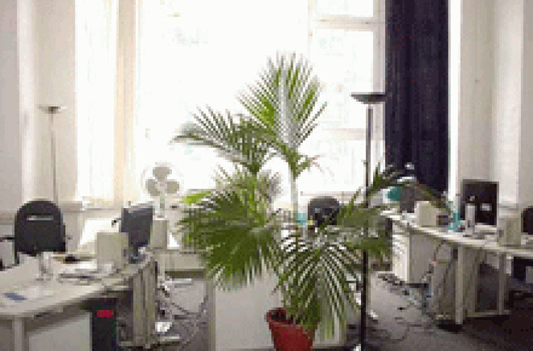 20061_drei1.gif