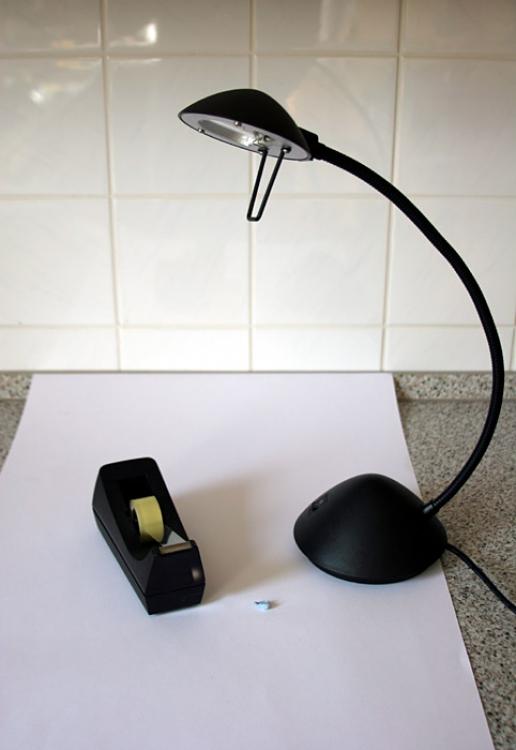 63995_50969_ministudio_1.jpg