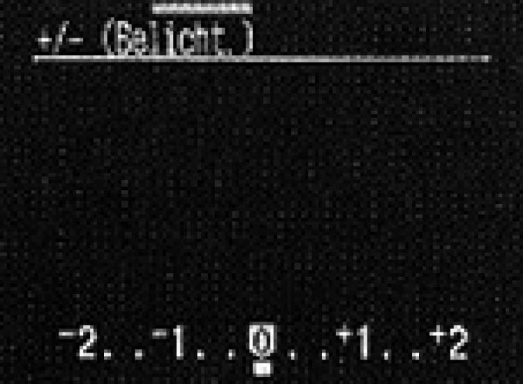 64084_50960_belichtungskorrektur.jpg
