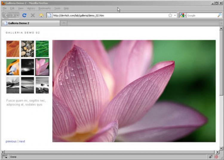 64860_64786_galleria_demo_website.jpg
