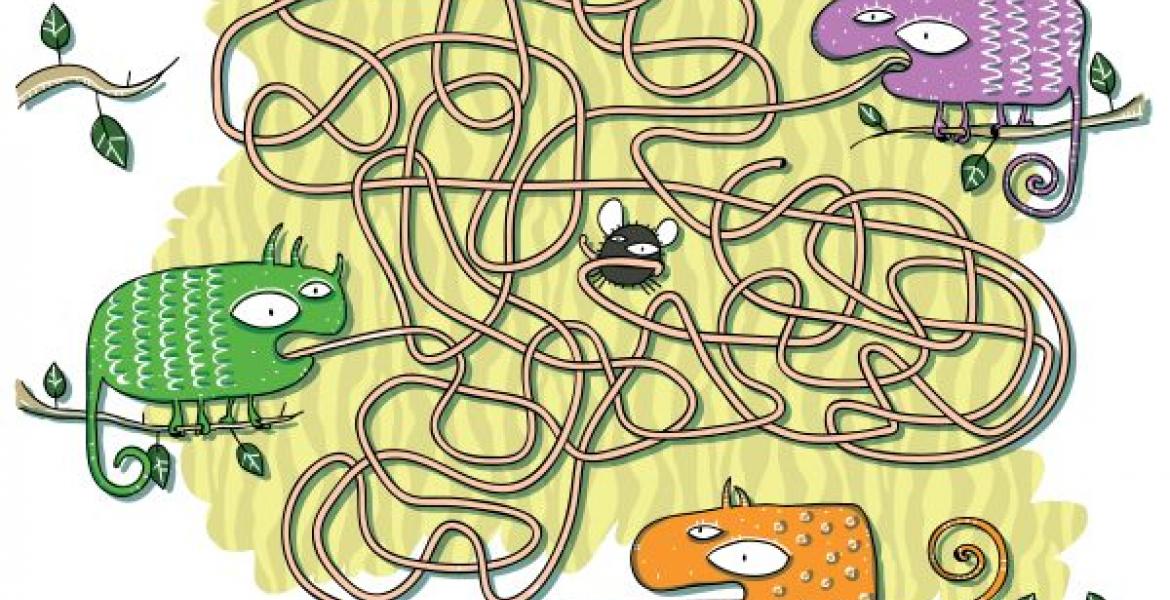 10 unbeliebte Zweifelsfälle