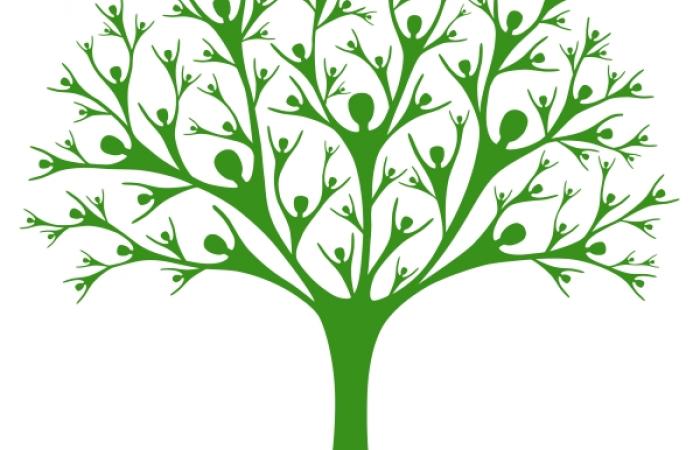 Der gemeinnützige Verein: Steuern, Buchführung, Jahresabschluss