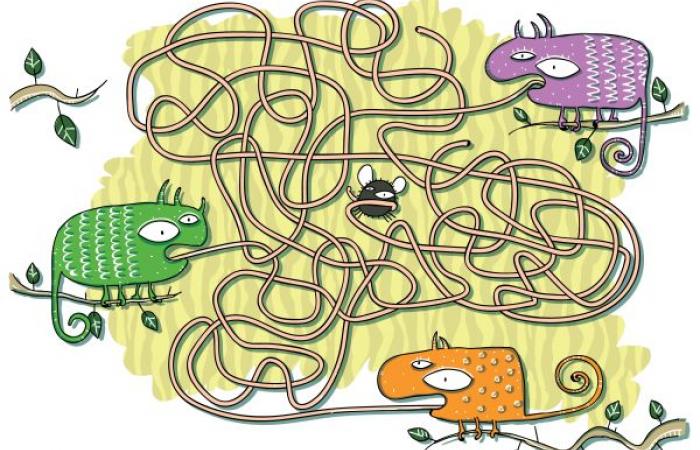 10 unbeliebte Zweifelsfälle